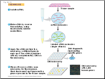 Fig. 20-15