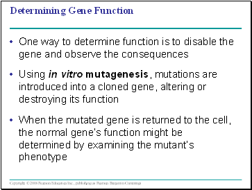 Determining Gene Function