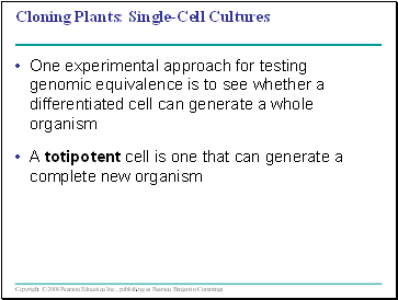 Cloning Plants: Single-Cell Cultures