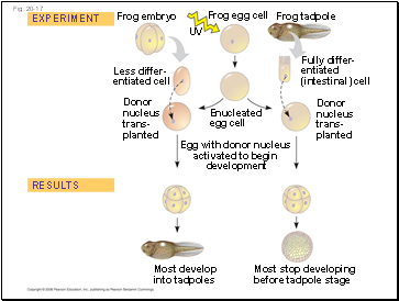 Fig. 20-17