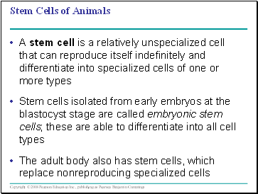 Stem Cells of Animals
