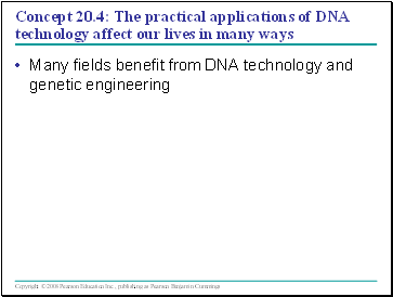 Concept 20.4: The practical applications of DNA technology affect our lives in many ways