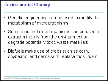 Environmental Cleanup