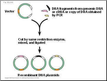 Fig. 20-UN3