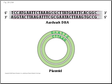 Fig. 20-UN4