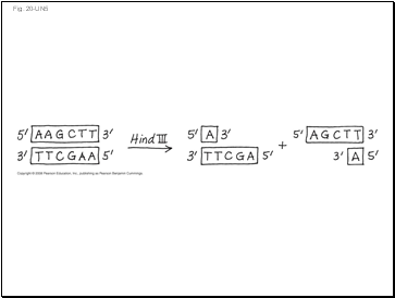 Fig. 20-UN5