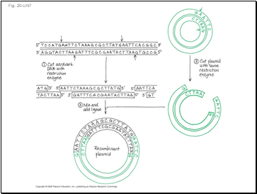 Fig. 20-UN7