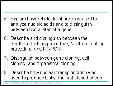 Explain how gel electrophoresis is used to analyze nucleic acids and to distinguish between two alleles of a gene