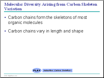 Molecular Diversity Arising from Carbon Skeleton Variation