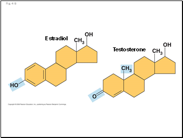 Fig. 4-9