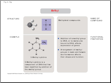 Fig. 4-10g