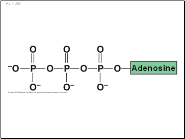 Fig. 4-UN3