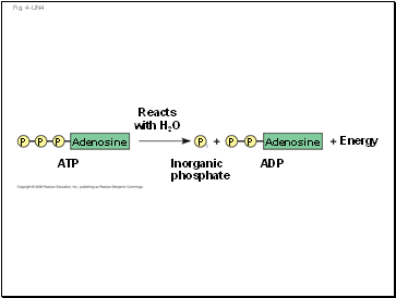 Fig. 4-UN4