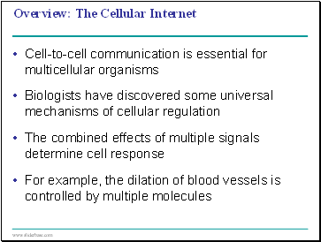 The Cellular Internet