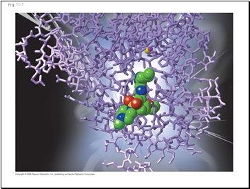 Fig. 11-1