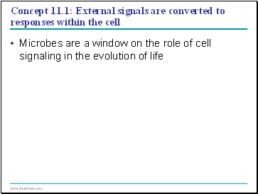 Concept 11.1: External signals are converted to responses within the cell