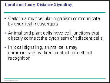Local and Long-Distance Signaling