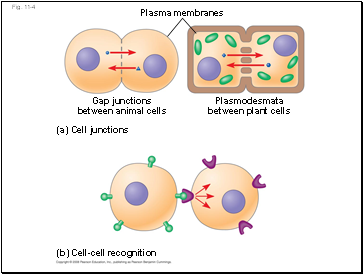 Fig. 11-4