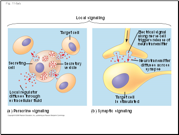 Fig. 11-5ab