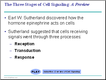The Three Stages of Cell Signaling: A Preview