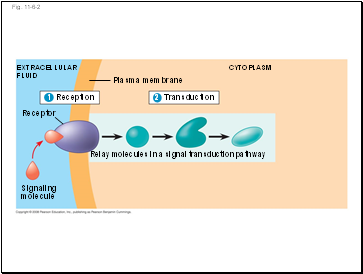 Fig. 11-6-2