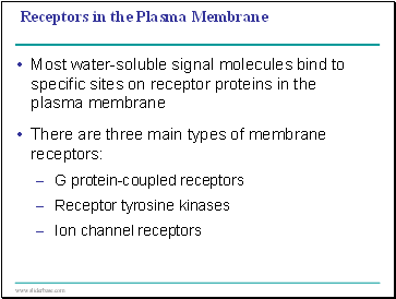 Receptors in the Plasma Membrane