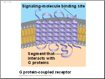 Fig. 11-7a