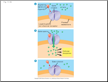 Fig. 11-7d