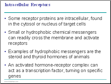 Intracellular Receptors