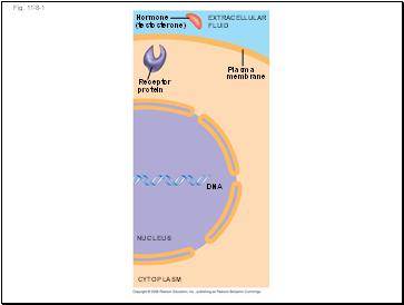 Fig. 11-8-1