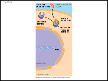 Fig. 11-8-2