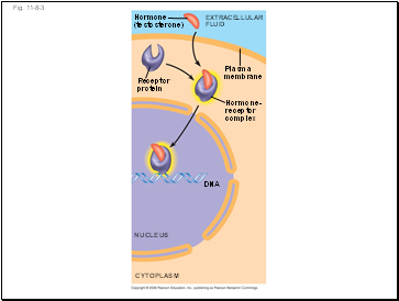 Fig. 11-8-3