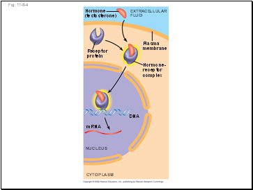 Fig. 11-8-4