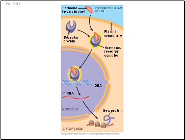 Fig. 11-8-5