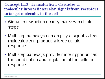 Concept 11.3: Transduction: Cascades of molecular interactions relay signals from receptors to target molecules in the cell