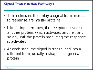 Signal Transduction Pathways