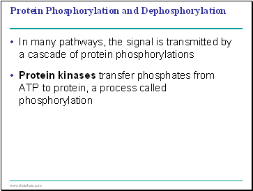Protein Phosphorylation and Dephosphorylation