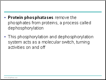 Protein phosphatases remove the phosphates from proteins, a process called dephosphorylation