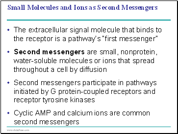 Small Molecules and Ions as Second Messengers