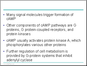 Many signal molecules trigger formation of cAMP