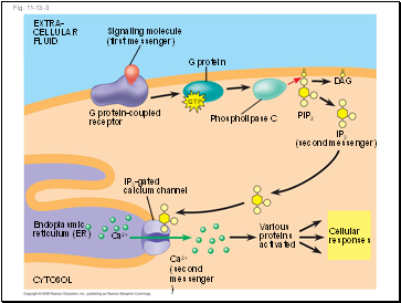 Fig. 11-13-3