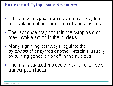 Nuclear and Cytoplasmic Responses