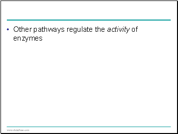 Other pathways regulate the activity of enzymes