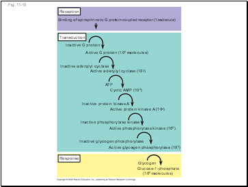 Fig. 11-15