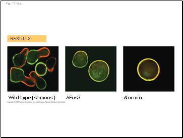 Fig. 11-16a