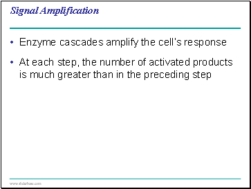 Signal Amplification