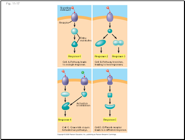 Fig. 11-17