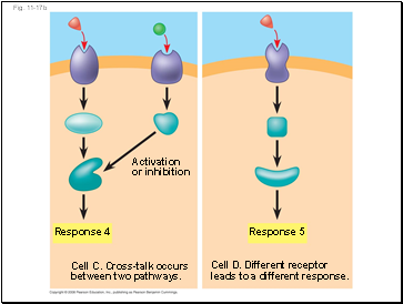 Fig. 11-17b