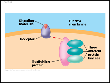 Fig. 11-18