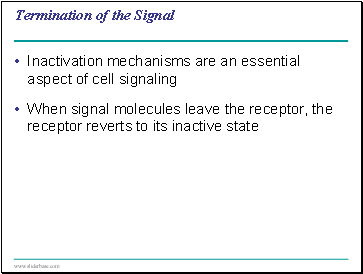 Termination of the Signal